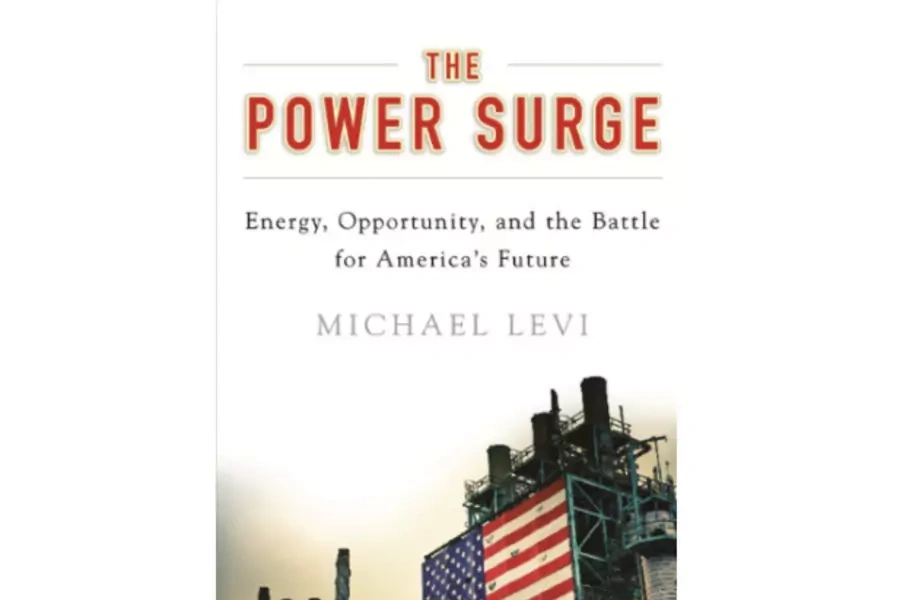 The Power Surge by Michael Levi Paperback