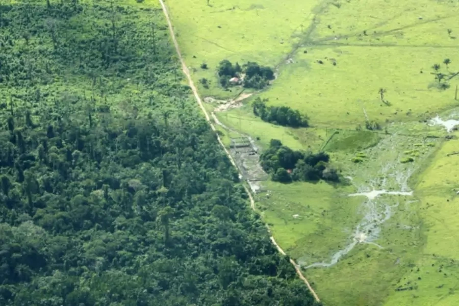 deforestation climate REDD+ forests
