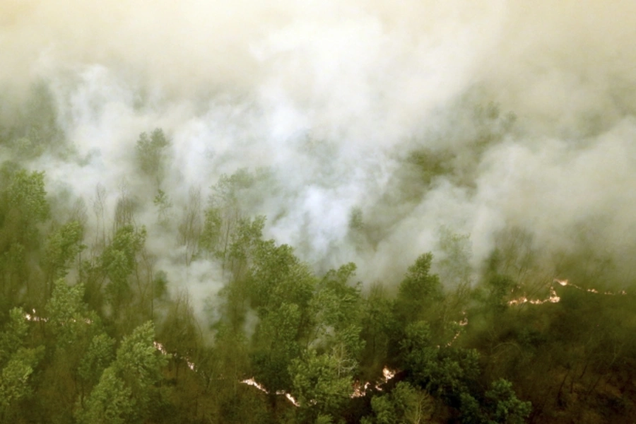 deforestation forest fire indonesia widowo climate carbon co2