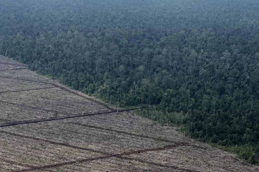 climate change; deforestation; Indonesia