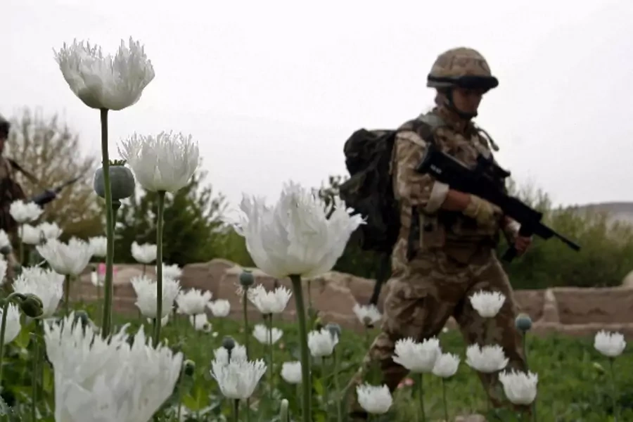 Poppy-field-soldier-Helmand