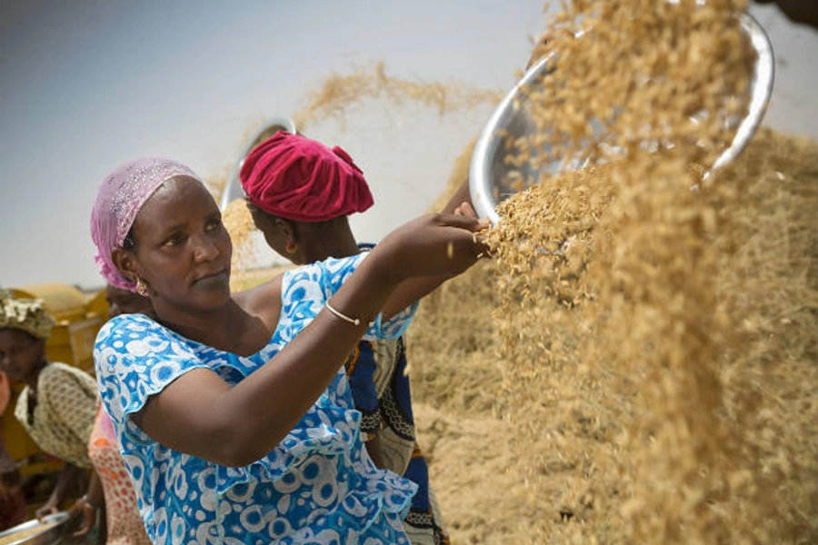 MCC farm senegal