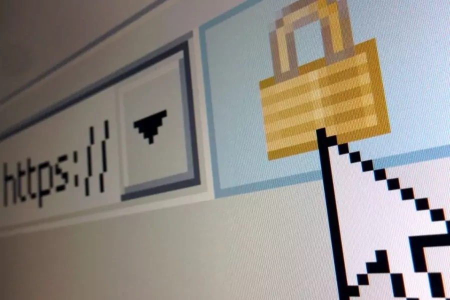 A lock icon, signifying an encrypted Internet connection, is seen on an Internet Explorer browser in a photo illustration in Paris April 15, 2014. 