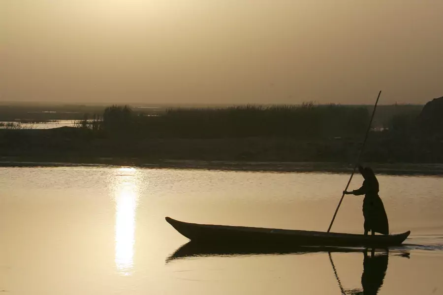 A woman paddles her boat during sunrise at Hammar marsh in Nassiriya, 300 km (185 miles) southeast of Baghdad (Thaier al-Sudani/Reuters).