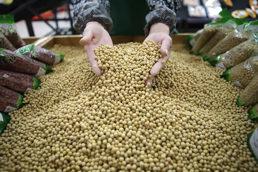 An employee picks out bad beans from a pile of soybeans at a supermarket in Wuhan, Hubei province.