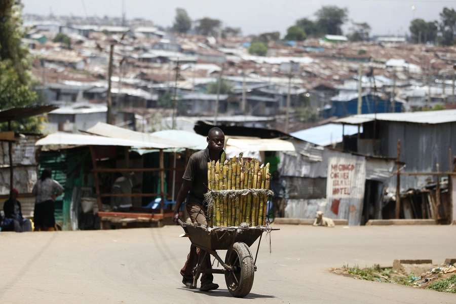 A trader pushes wheelbarrow loaded with sugar-cane for sale along a street in Kibera slum, home to over 1 million people, in Kenya's capital Nairobi, March 7, 2014. 
