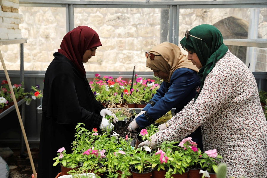 Palestinian women trained in horticulture and business management as part of a business initiative aimed at helping them into the local workforce, work at their greenhouse business.