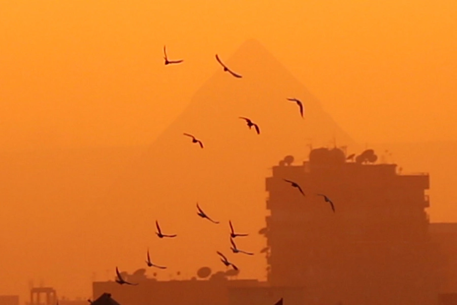 An Egyptian pigeon fancier waves on his pigeons with a flag of Al Ahly Sport Club to guide them as the Great Pyramids are seen during sunset in Cairo, Egypt November 19, 2018. 