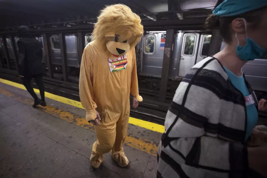 A person dressed as Cecil the Lion walks though the 14th Street subway station in the Manhattan borough of New York, on October 31, 2015.