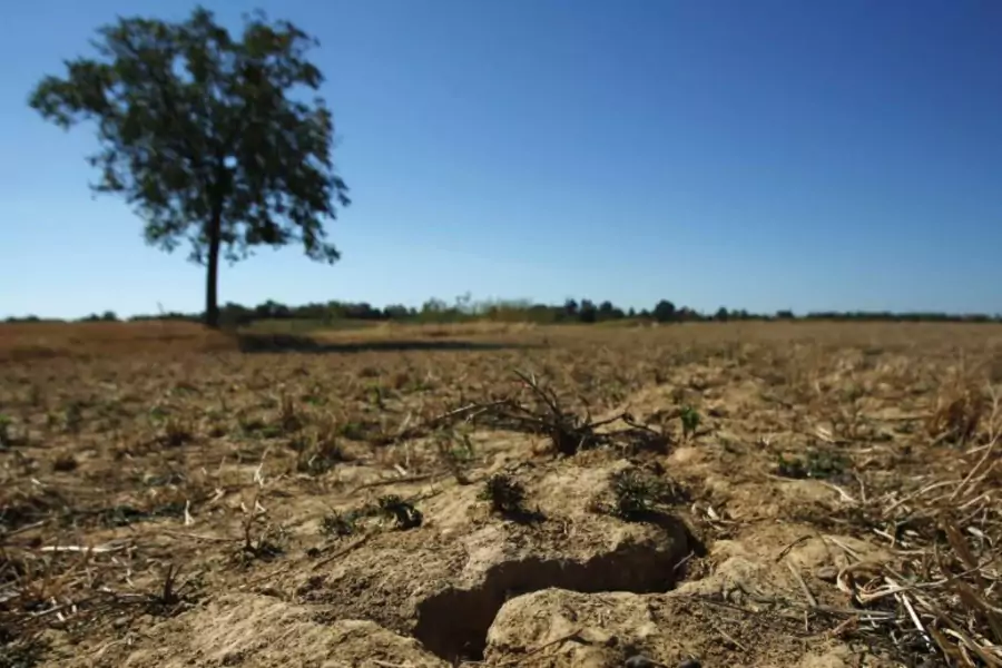 A drought-stricken field in Drenje, Croatia, on August 21, 2012.