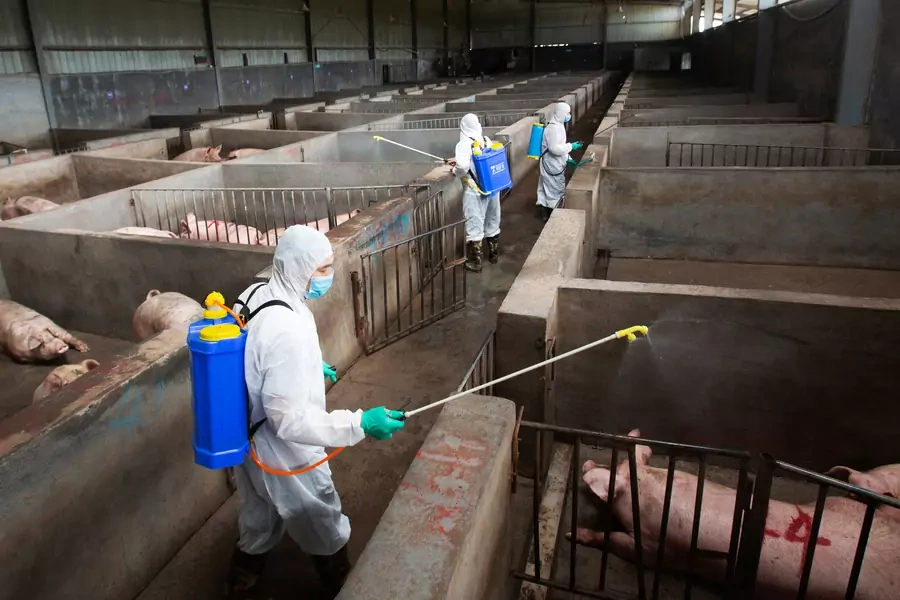 Local husbandry and veterinary bureau workers in protective suits disinfect a pig farm as a prevention measure for African swine fever, in Jinhua, Zhejiang province, China August 22, 2018.