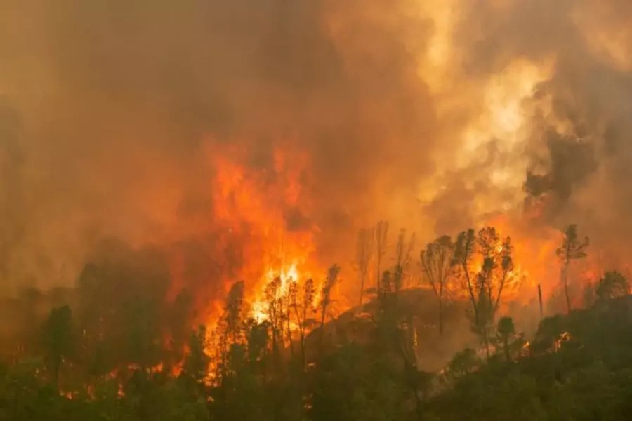 The LNU Lightning Complex Fire engulfs a ridge line near Aetna Springs, California on August 23, 2020. 