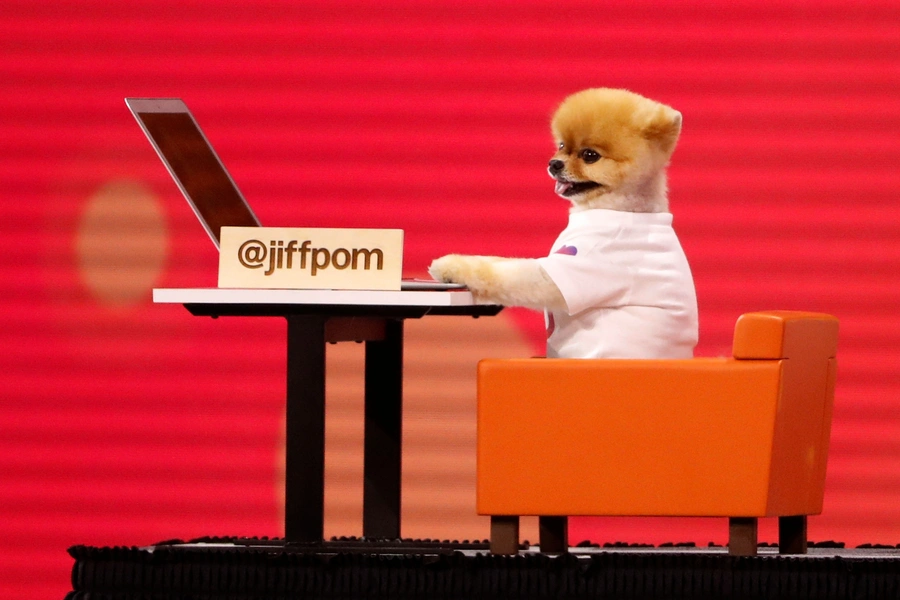 Internet celebrity dog @jiffpom is wheeled on stage during a presentation at Facebook.