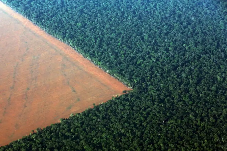 The Amazon rain forest, bordered by deforested land prepared for the planting of soybeans, is pictured in this aerial photo taken over Mato Grosso state in western Brazil on October 4, 2015. 