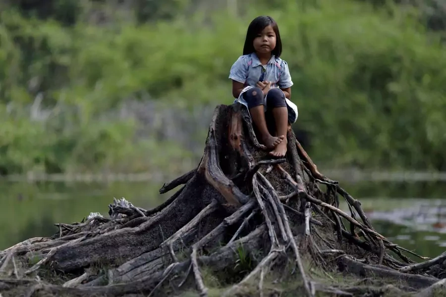 An Indigenous girl from the Parintintin tribe sits on a cut tree trunk in Traira village near Humaita, Amazonas State, Brazil, on August 16, 2019. 