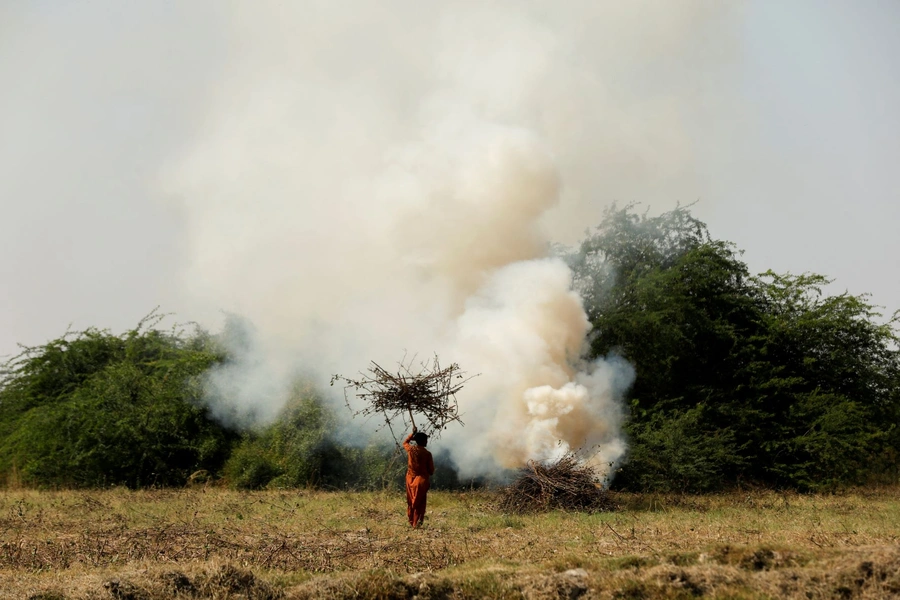 A worker burns cotton plants damaged by rain water and floods to prepare the soil for the next crop.