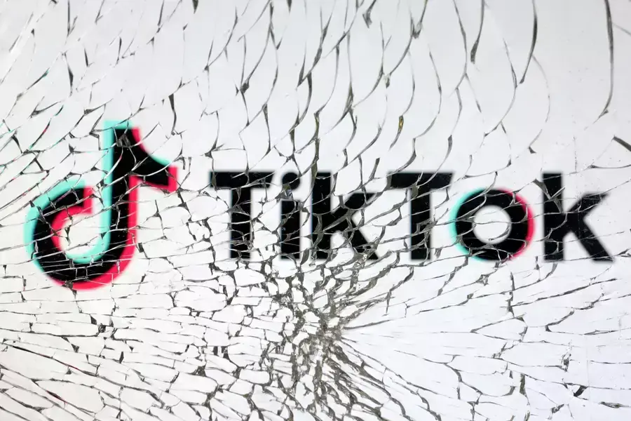TikTok's logo is seen through broken glass.