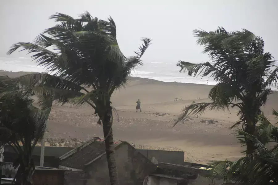 Strong winds from Cyclone Hudhud blow along a beach in the eastern Indian state of Odisha.