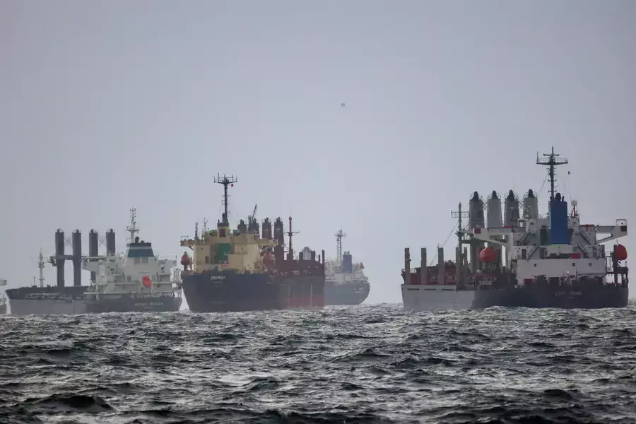 Vessels wait in the Bosphorus for inspection under the United Nation's Black Sea Grain Initiative on December 11, 2022.
