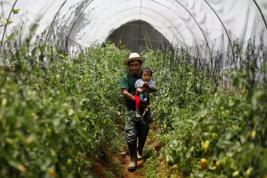 A man carries his son while touring a community greenhouse that is a part of a farming program backed by USAID in Guatemala on April 3, 2019.
